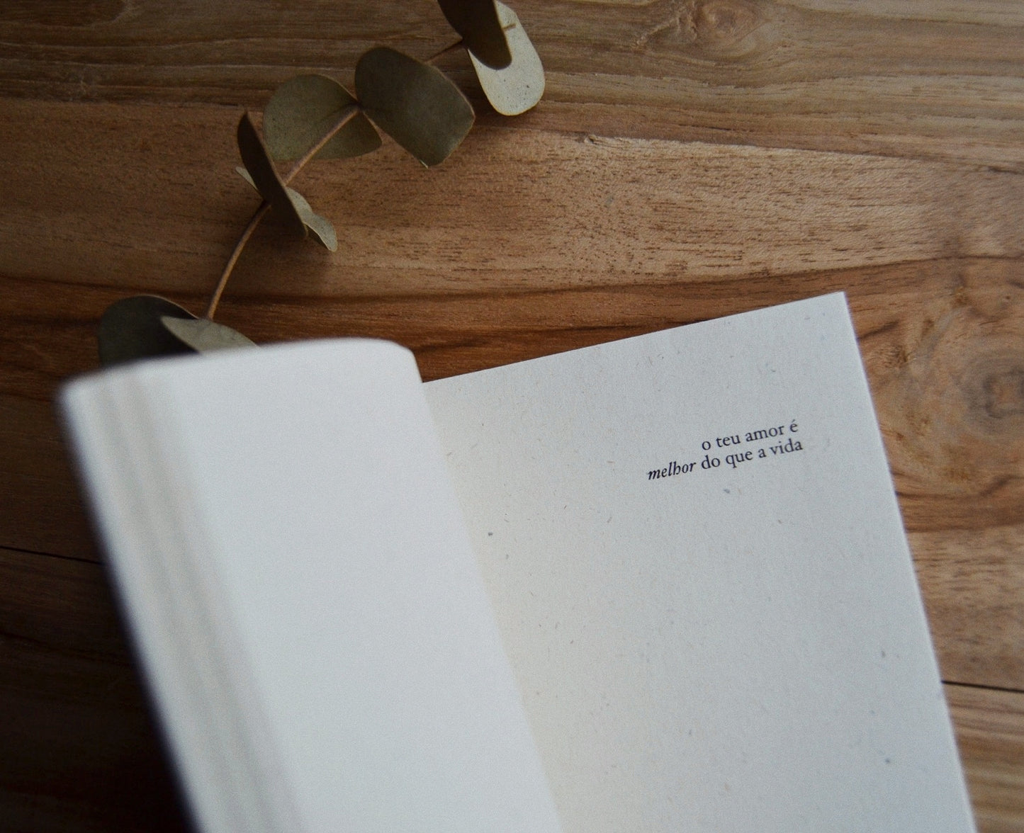 Faço novas todas as coisas // caderno A6