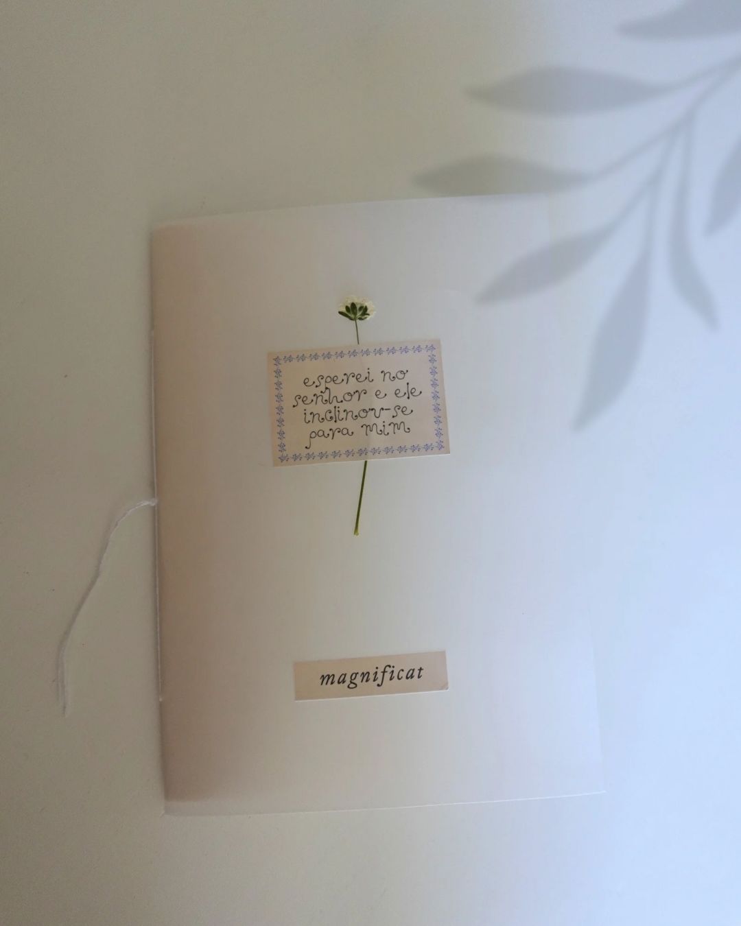 Esperei no Senhor e Ele inclinou-se para mim